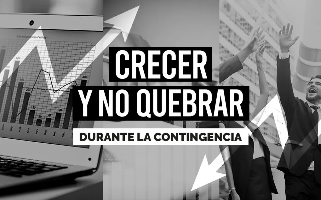 Muchas empresas están creciendo -y no quebrando- con la actual contingencia ¿Qué han hecho para conseguirlo?