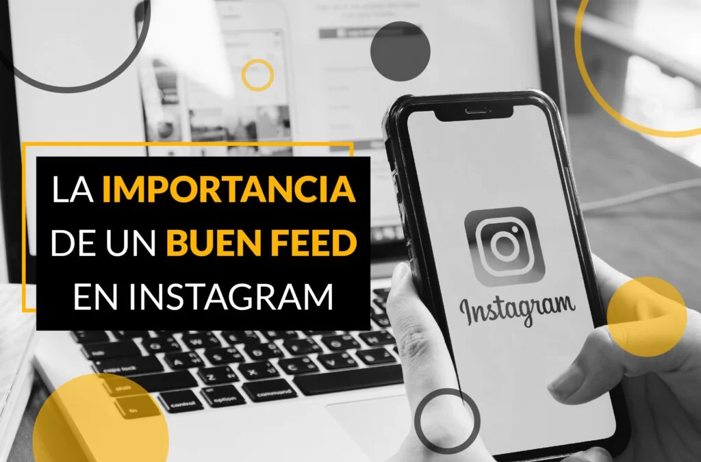 La importancia de un buen feed